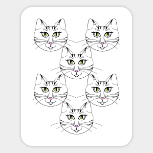 Cat cats and more cats Sticker